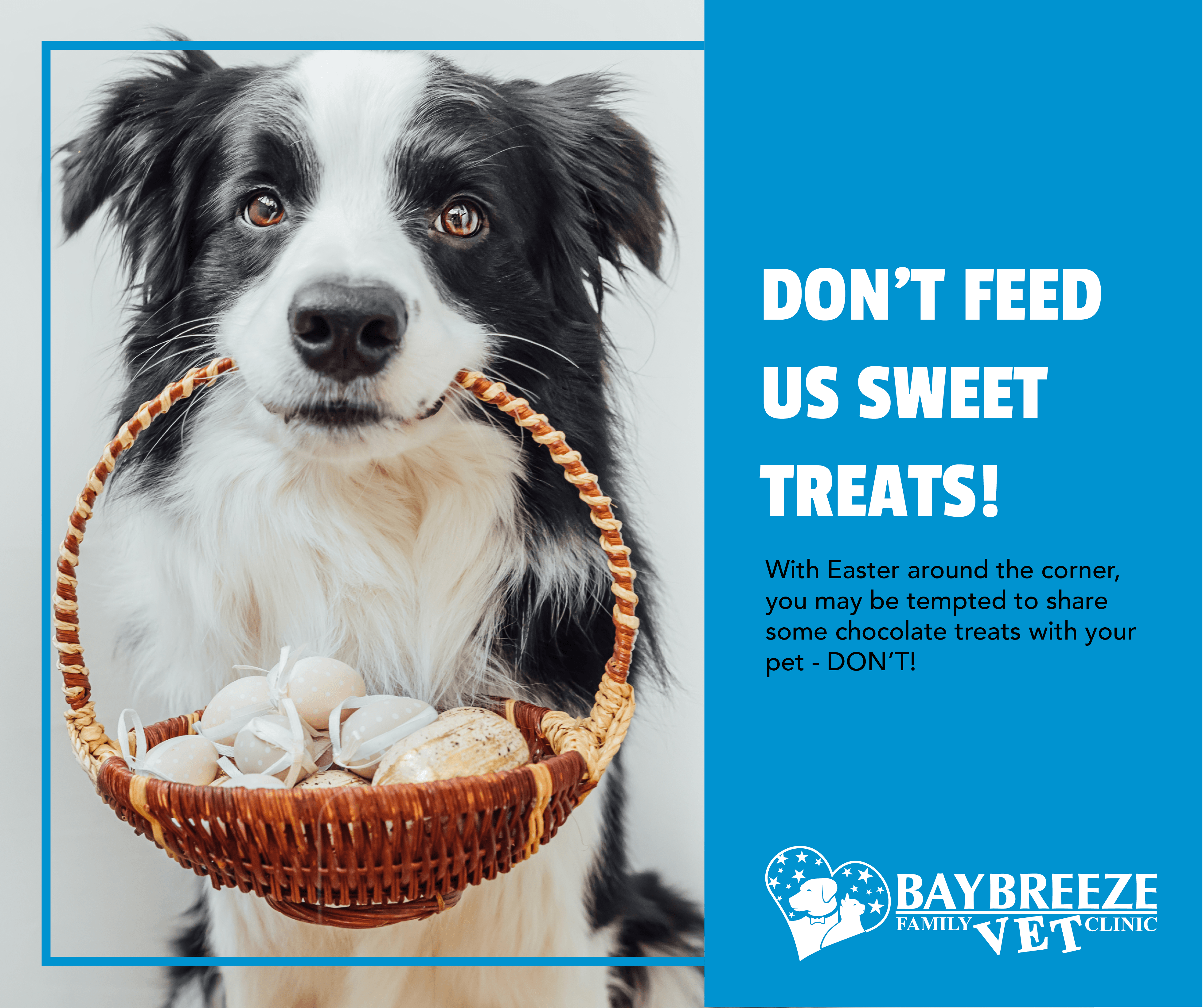 Dont feed us sweet treats! Dont feed us sweet treats!